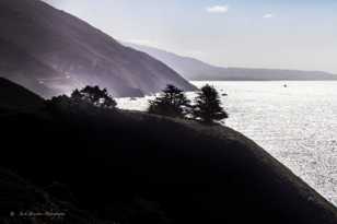 Big Sur coast-8478.jpg